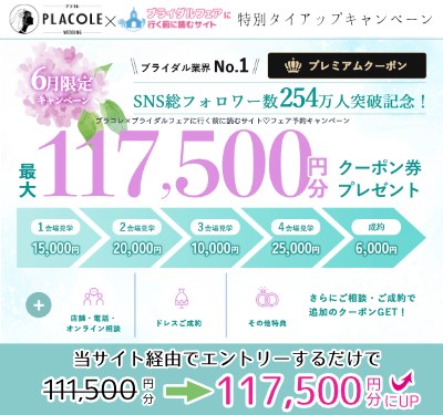 2025年6月プラコレと当サイトのタイアップキャンペーン