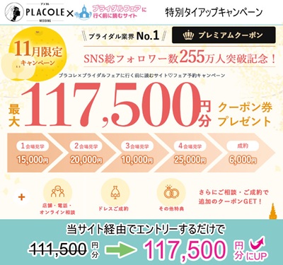 プラコレウェディング 2025年11月キャンペーン 限定タイアップ特典付き